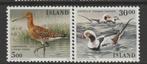 TSS Kavel 1140271 IJsland pf minr 691-692 vogels Mooi kavel, Postzegels en Munten, Postzegels | Europa | Scandinavië, IJsland