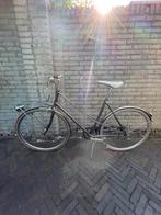 Gazelle van Stael, Ophalen, Versnellingen, Gazelle, 53 tot 56 cm