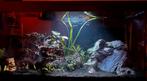 Juwel rio 350 LED aquarium, Zo goed als nieuw, Ophalen, Gevuld zoetwateraquarium