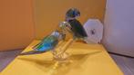 Swarovski Parkietenpaar Fife & Fifer! NIEUW!, Verzamelen, Ophalen of Verzenden, Nieuw, Figuurtje