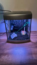 Te koop mooie Superfish Aqua 40, Dieren en Toebehoren, Vissen | Aquaria en Toebehoren, Ophalen, Zo goed als nieuw, Leeg aquarium