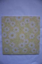 20 vel daisy embossing papier daisy margriet 0650, Verzenden, Nieuw, Papier of Karton, Overige merken