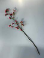 Silka kunsttak framboos, Ophalen, Nieuw, Binnen