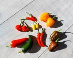 Zaden van zeldzame peperplanten, habanero, reaper, tiger etc, Ophalen of Verzenden, Eenjarig, Groenteplanten, Volle zon