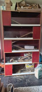5 verdiepingen cavia/konijnen hok, Dieren en Toebehoren, Ophalen, 90 cm of meer, Hok, Konijn
