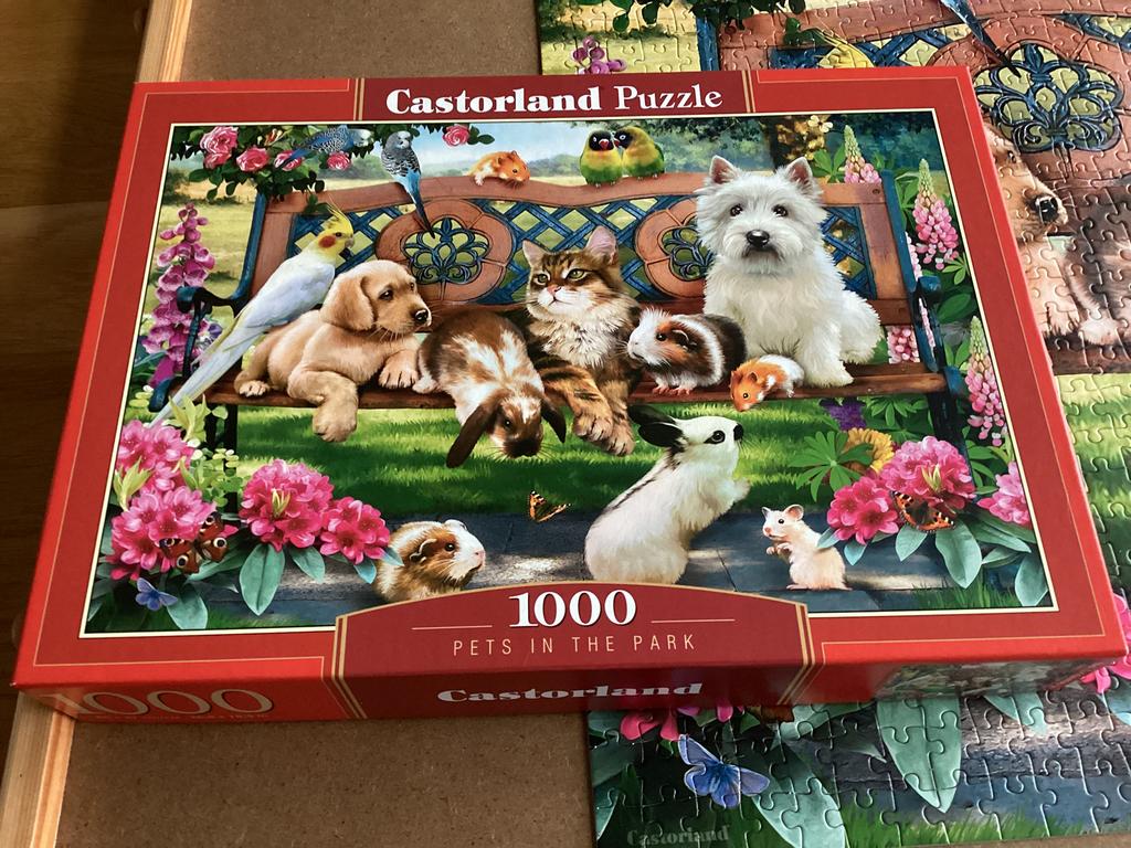 Castorland puzzel 1000 Pets in the Park, Hobby en Vrije tijd, Denksport en Puzzels, Ophalen of Verzenden, 500 t/m 1500 stukjes