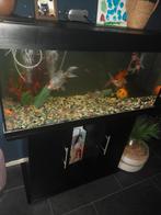 Aquarium, Dieren en Toebehoren, Ophalen of Verzenden