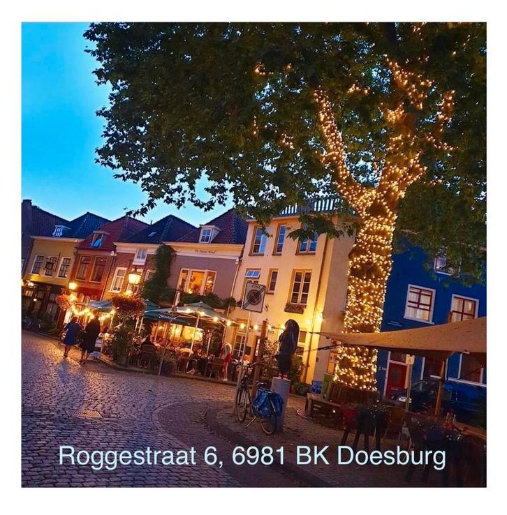 Winkel-, horeca-, kantoorpanden, Huizen en Kamers, Huizen te koop, Gelderland, 200 tot 500 m², Woning met bedrijfsruimte, Verkoop zonder makelaar