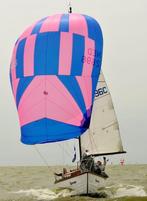 Waarschip 1/4 7.25 x 2.5 x 1.5 Compleet!, Watersport en Boten, Ophalen, Gebruikt, Tour-wedstrijdjacht, Benzine