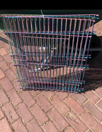 Knaagdieren /Cavia ren 12 paneeltjes beschikbaar voor biedingen