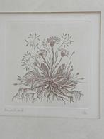 Ets 1976 AK planten handgesigneerd, Antiek en Kunst, Verzenden