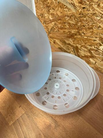 Tupperware Sterilisatie Schaal beschikbaar voor biedingen
