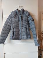 Superdry jas., Ophalen of Verzenden, Zo goed als nieuw