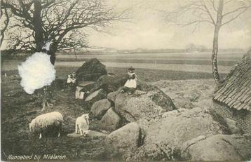 (377-707-017) Midlaren Hunebed (beschadigd) beschikbaar voor biedingen