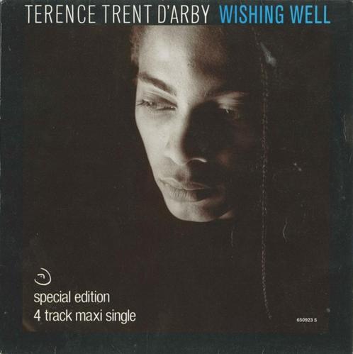 Ruil of koop Terence Trent D'Arby "Wishing Well" (Maxi 1987), Cd's en Dvd's, Vinyl Singles, Gebruikt, Maxi-single, Pop, 12 inch