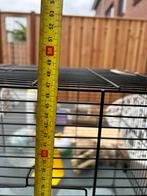 Hamsterkooi te koop met toebehoren erbij, Dieren en Toebehoren, Kooi, Minder dan 75 cm, Zo goed als nieuw, Hamster