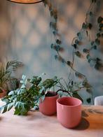 2 hele mooie Elho roze bloempotten 16cm, 2,4 L, zgan, Kunststof, Rond, Ophalen of Verzenden, Zo goed als nieuw