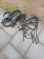 Te koop, Dieren en Toebehoren, Paarden en Pony's | Hoofdstellen en Tuigage, Ophalen, Overige soorten