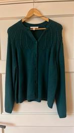 Vest seasalt cornwall maat 48, Ophalen of Verzenden, Nieuw, Maat 46/48 (XL) of groter, Groen