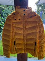 Bogner Fire and Ice Saelly ski jas Maat S, Kleding | Dames, Bogner fire and ice, Ophalen of Verzenden, Zo goed als nieuw, Jack