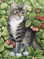 Drie mooie Engelse poezen bordje van Lesley Anne Ivory., Ophalen of Verzenden