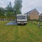 Mercedes-Benz Mercedes 1979 Beige, Caravans en Kamperen, Campers, Bus-model, Mercedes-Benz, Diesel, Particulier