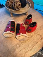 Flextrainers en springschoenen set, Dieren en Toebehoren, Ophalen of Verzenden, Zo goed als nieuw