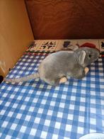 Grijze muis / rat knuffeltje 18 cm gemeten zonder staart, Kinderen en Baby's, Speelgoed | Knuffels en Pluche, Ophalen of Verzenden