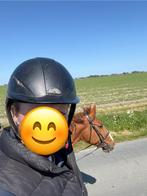 Cap: Pikeur GPA, Ophalen of Verzenden, Cap