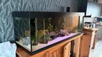 Trofis aquarium compleet 180x65x60, Ophalen, Gebruikt, Gevuld zoetwateraquarium