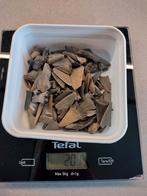 200 gram haaientanden uit omgeving Cadzand, Ophalen of Verzenden