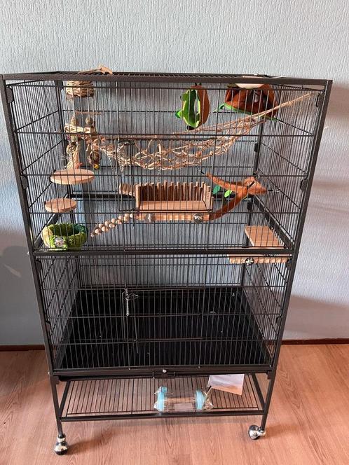 Volière 79-51-132 cm – geschikt vogels volière/Rattenkooi, Dieren en Toebehoren, Vogels | Hokken en Kooien, Zo goed als nieuw