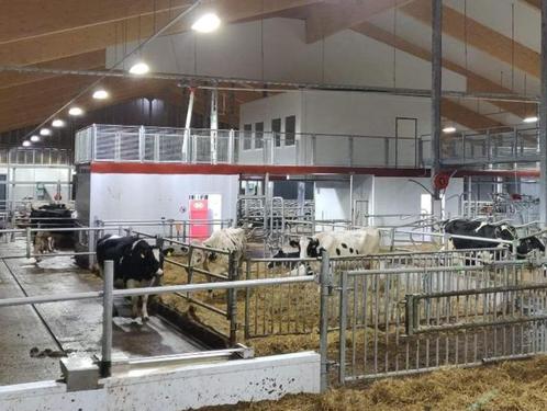 Kunststof wandsysteem voor melkrobotruimte, Doe-het-zelf en Verbouw, Overige Doe-het-zelf en Verbouw, Nieuw, Ophalen of Verzenden