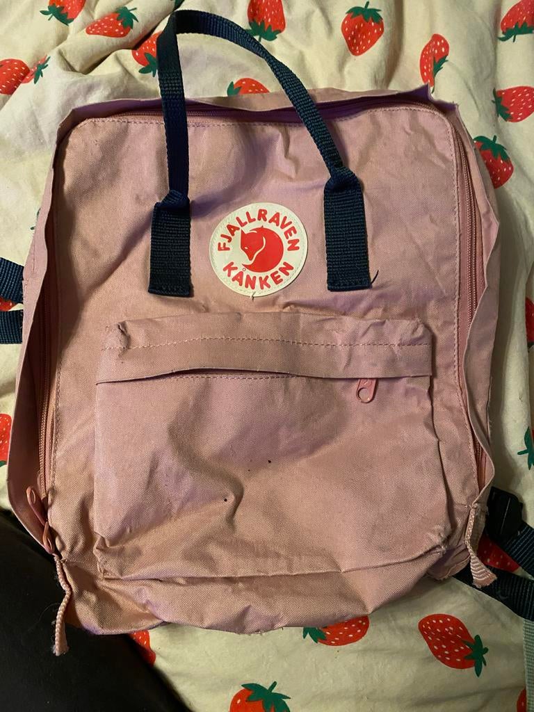 Fjallraven Kånken Roze Rugzak, Overige merken, Gebruikt, 25 tot 40 cm, Ophalen of Verzenden