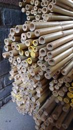Bamboestokken 2,70m, Nieuw, 250 tot 300 cm, Overige typen, Minder dan 25 mm