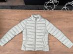 Nieuwe zgan lichtgroene Cotton Club bomber jas 36/small, Ophalen, Nieuw, Maat 36 (S), Cotton Club