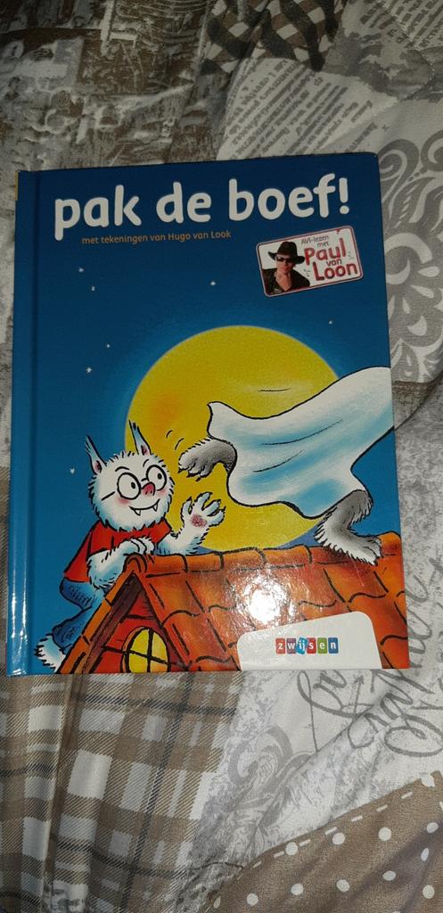 Paul van Loon - pak de boef!, Fictie algemeen, Paul van Loon, Ophalen of Verzenden, Zo goed als nieuw