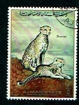 Katachtigen - Ajman State - Cheetah met jong - gebr, Ophalen of Verzenden, Gestempeld, Dier of Natuur