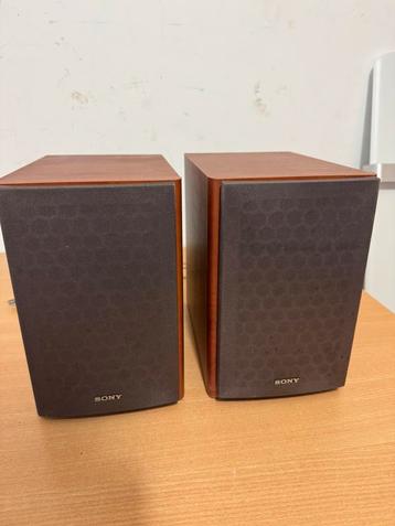 2 Weg Speakers Sony SS-CCPX11 + Stekkers beschikbaar voor biedingen