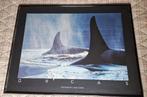fotolijst de Orca Bob Talbot, Ophalen, Kunststof, Gebruikt, 50 tot 75 cm