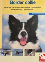 Border collie - Marcella Kauderer, Ophalen of Verzenden, Nieuw, Honden