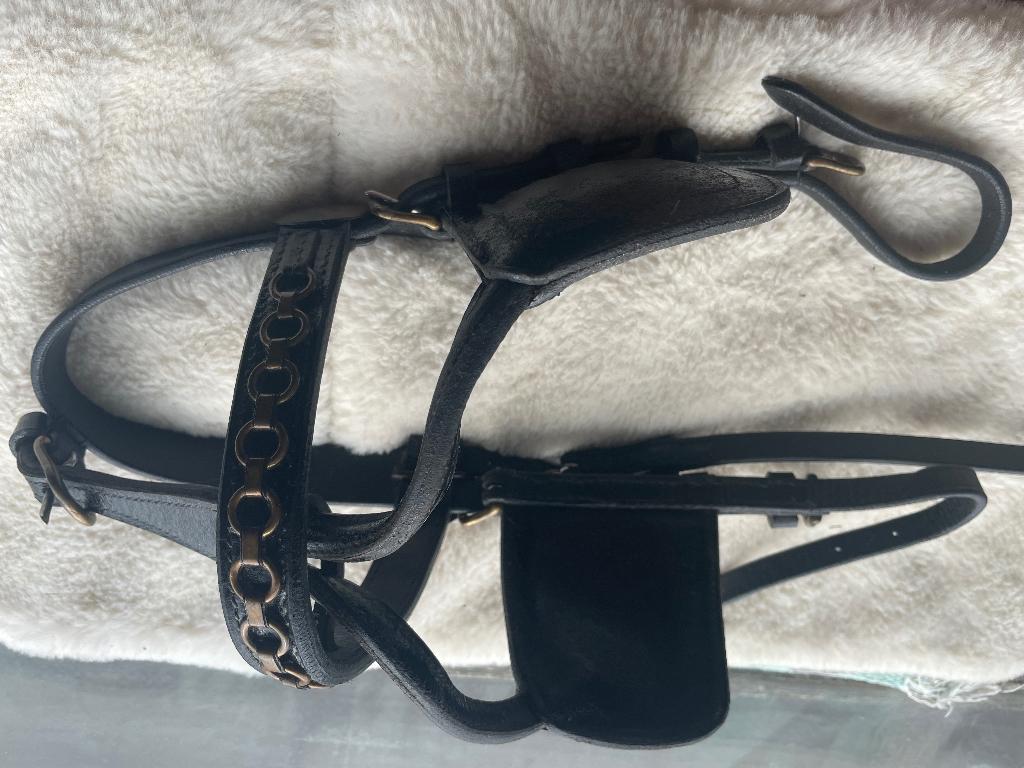 Men hoofdstel maat mini, Ophalen of Verzenden, Zo goed als nieuw, Overige soorten