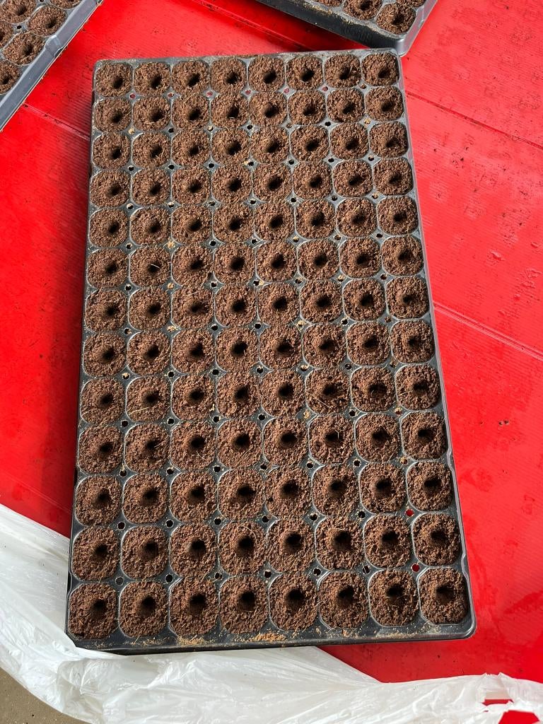 zaai tray's   om zelf plantjes te zaaien, Tuin en Terras, Ophalen, Potgrond