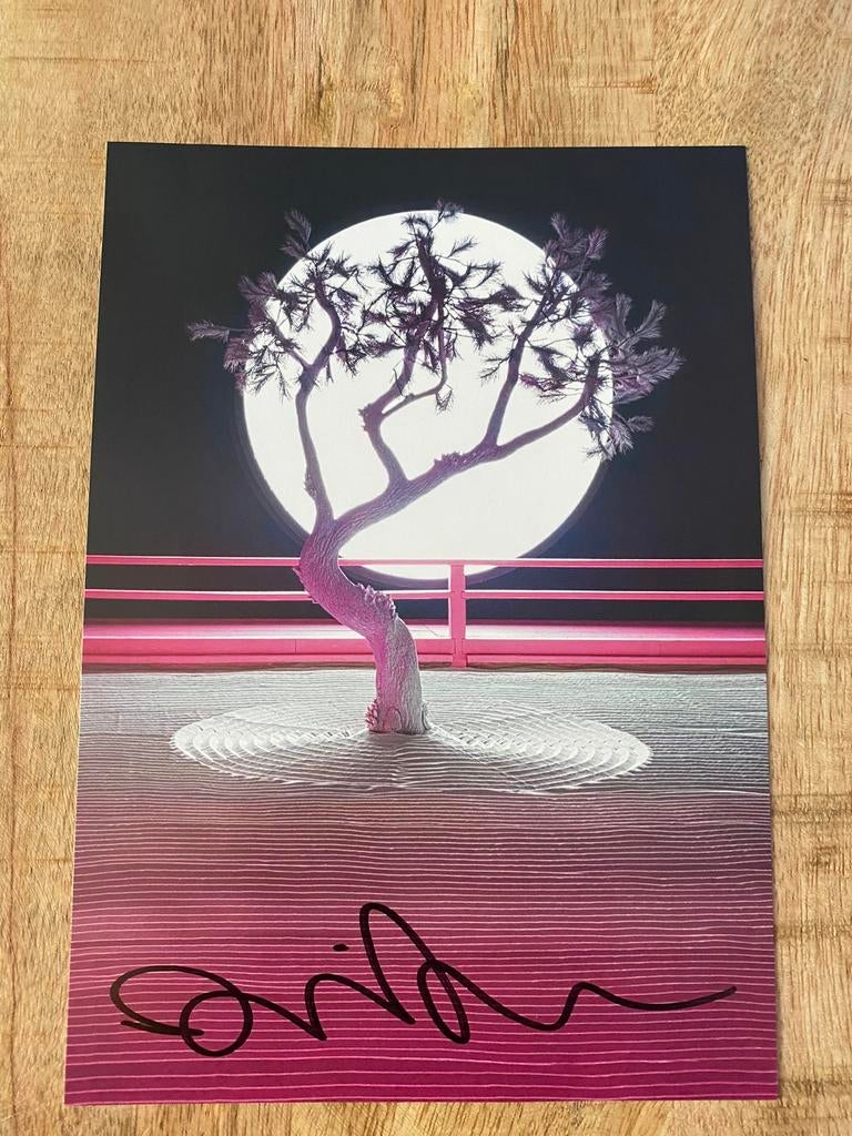 Daniel Arsham gesigneerde flyer., Ophalen of Verzenden