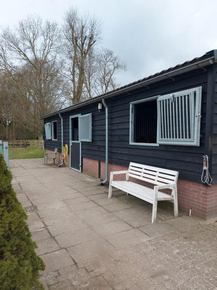 Pensionstal, Dieren en Toebehoren, Stalling en Weidegang, Weidegang