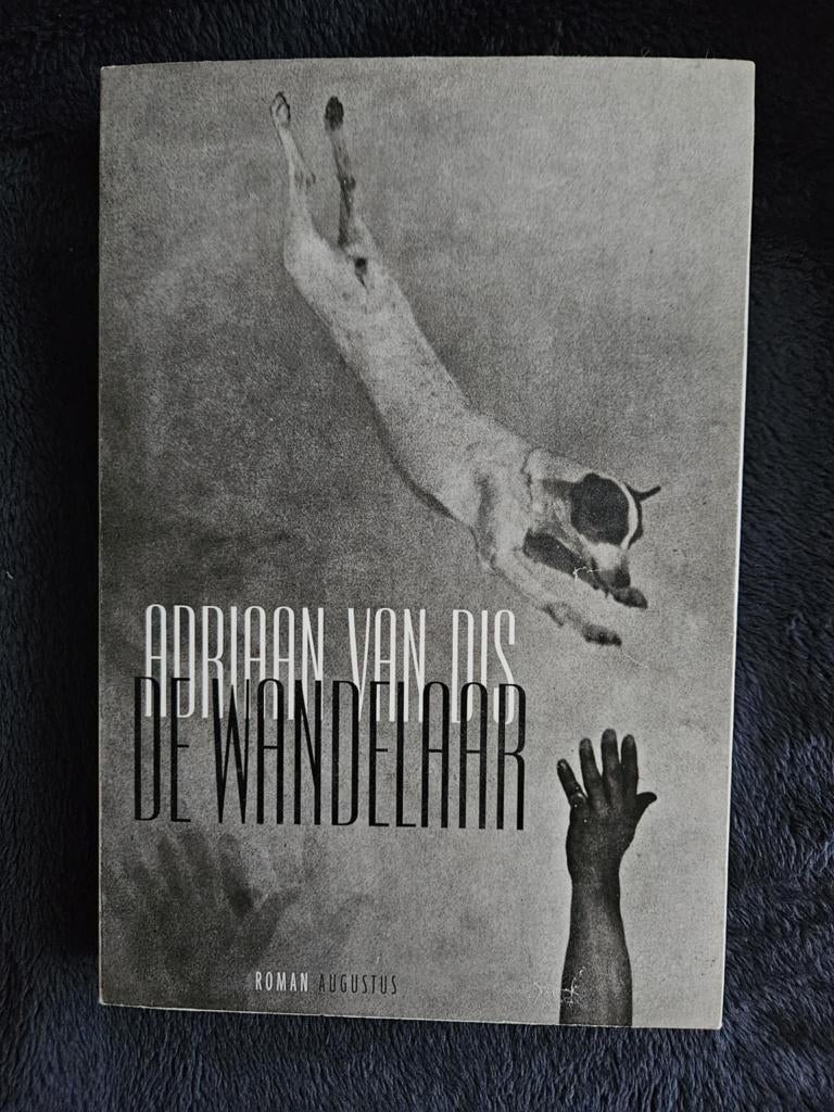 Adriaan van Dis - De wandelaar, Adriaan van Dis, Ophalen of Verzenden, Zo goed als nieuw, Nederland