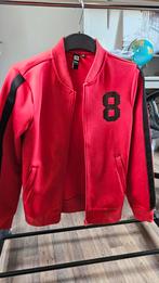 CoolCat rood bomberjack met nummer 8, maat 152, Maat 42/44 (L), Ophalen of Verzenden, Zo goed als nieuw, CoolCat