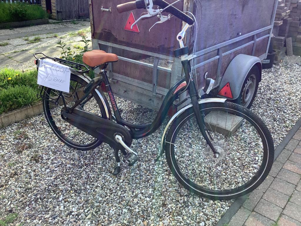 Damesfiets, Fietsen en Brommers, Fietsen | Dames | Damesfietsen, 47 tot 50 cm, Trommelrem, Ophalen, Overige merken