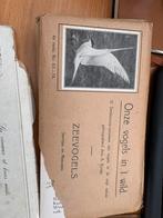 Vogel verzamelboekjes inhoud zijn foto’s, Ophalen, 1980 tot heden, Tijdschrift