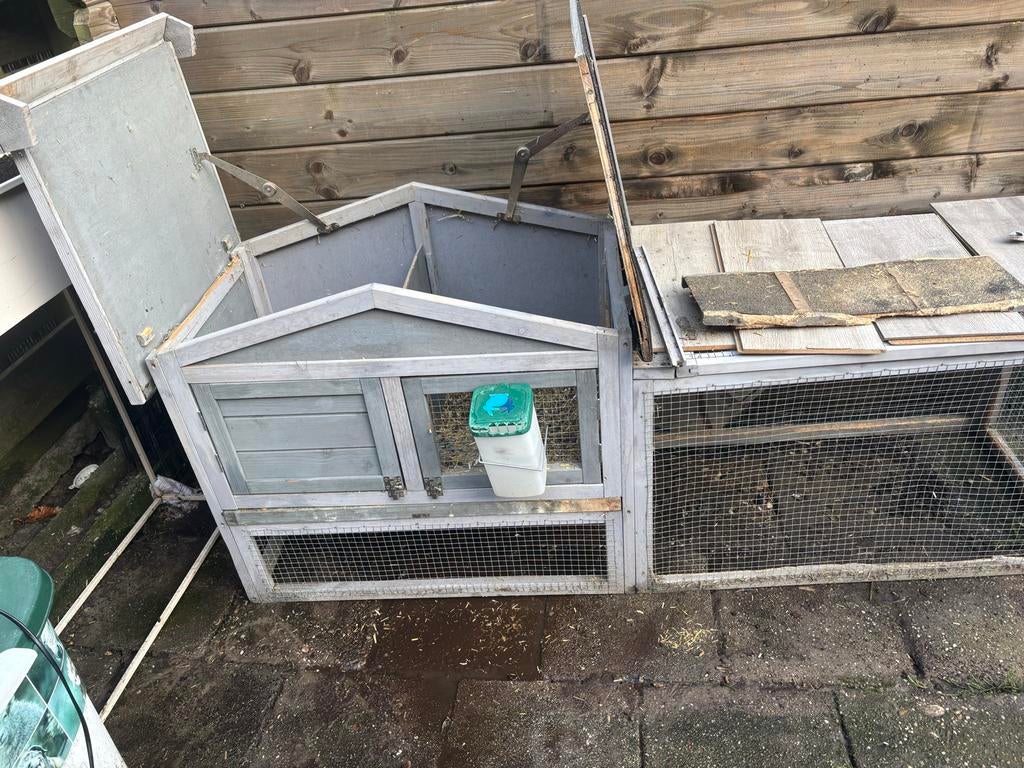 Cavia,s met hok, Cavia, December, Geslacht onbekend, Tam